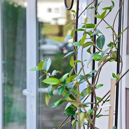 Lejlighed Embassy Corner *