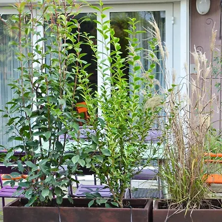 Embassy Corner * Estrasburgo