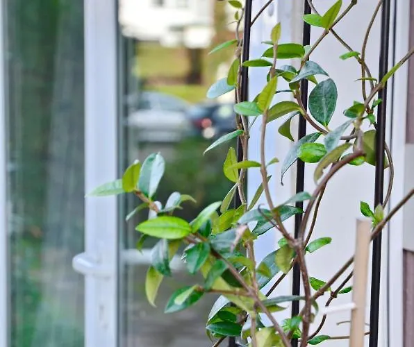 Appartement Embassy Corner *