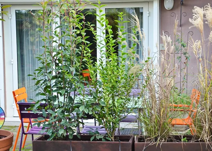 Embassy Corner * Strasbourg